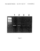 METHOD FOR THE DETECTION OF GENE TRANSCRIPTS IN BLOOD AND USES THEREOF diagram and image