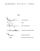 METHODS AND COMPOSITIONS FOR NUCLEIC ACID AMPLIFICATION diagram and image