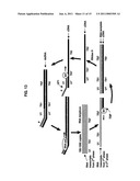 METHODS AND COMPOSITIONS FOR NUCLEIC ACID AMPLIFICATION diagram and image