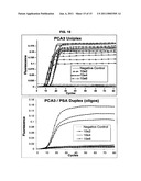 METHODS AND COMPOSITIONS FOR NUCLEIC ACID AMPLIFICATION diagram and image