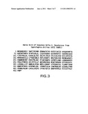 DELTA-5 DESATURASE AND USES THEREOF diagram and image