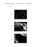 Material For Capturing Microbes, Device For Capturing Microbes, Method Of Capturing Microbes, And Method Of Producing Material For Capturing Microbes diagram and image