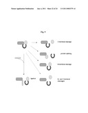 CHIMERIC AUTOPROCESSING POLYPEPTIDES AND USES THEREOF diagram and image