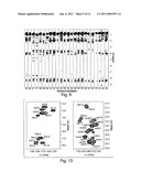 SYSTEMS AND METHODS FOR STUDYING INFLUENZA diagram and image