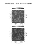 System and method for managing handoff of a client between different distributed-input-distributed-output (DIDO) networks based on detected velocity of the client diagram and image