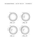 SEQUENTIAL CENTRIFUGE diagram and image