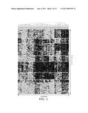 REAGENTS AND METHODS FOR USE IN CANCER DIAGNOSIS, CLASSIFICATION AND THERAPY diagram and image