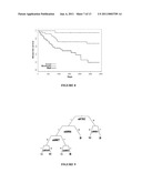 REAGENTS AND METHODS FOR USE IN CANCER DIAGNOSIS, CLASSIFICATION AND THERAPY diagram and image
