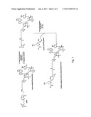 Peptide-Conjugated Oligonucleotide Therapeutic and Method of Making and Using Same diagram and image