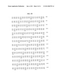 Tumor Endothelial Marker 5-alpha Molecules and Uses Thereof diagram and image