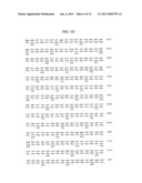 Tumor Endothelial Marker 5-alpha Molecules and Uses Thereof diagram and image