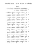 Tumor Endothelial Marker 5-alpha Molecules and Uses Thereof diagram and image