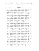 Tumor Endothelial Marker 5-alpha Molecules and Uses Thereof diagram and image