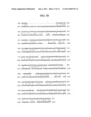 Tumor Endothelial Marker 5-alpha Molecules and Uses Thereof diagram and image