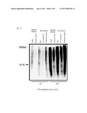 ABNORMAL PROTEIN REMOVING METHOD diagram and image