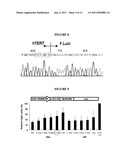 ALLOSTERIC TRANS-SPLICING GROUP I RIBOZYME WHOSE ACTIVITY OF TARGET-SPECIFIC RNA REPLACEMENT IS CONTROLLED BY THEOPHYLLINE diagram and image