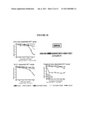 ALLOSTERIC TRANS-SPLICING GROUP I RIBOZYME WHOSE ACTIVITY OF TARGET-SPECIFIC RNA REPLACEMENT IS CONTROLLED BY THEOPHYLLINE diagram and image