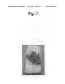 VISIBLE LIGHT CURABLE ADHESIVE diagram and image