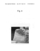 VISIBLE LIGHT CURABLE ADHESIVE diagram and image