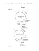 Methods and Compositions for Increasing the Nitrogen Storage Capacity of a Plant diagram and image