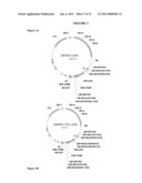 Methods and Compositions for Increasing the Nitrogen Storage Capacity of a Plant diagram and image