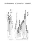 METHODS OF CONTROLLING PLANT SEE AND ORGAN SIZE diagram and image