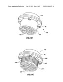 DUAL FAULT SAFE AND ARM DEVICE, ADAPTIVE STRUCTURES THEREWITH AND SAFETY AND RELIABILITY FEATURES THEREFOR diagram and image