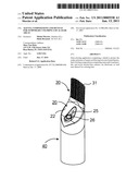 AGENTS, COMPOSITIONS AND DEVICES FOR TEMPORARY COLORING LOCAL HAIR AREAS diagram and image