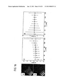 DEVICE AND PROCESS FOR MAGNETIC RESONANCE ELASTOGRAPHY (MRE) diagram and image