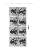 Systems and methods for three-dimensionally modeling moving objects diagram and image