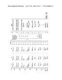 Optical-network design apparatus diagram and image