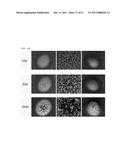 METHOD FOR MANUFACTURING NANOSTRUCTURE AND NANOSTRUCTURE MANUFACTURED BY THE SAME diagram and image