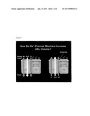 PHENYL SUBSTITUTED PYRAZINOYLGUANIDINE SODIUM CHANNEL BLOCKERS POSSESSING BETA AGONIST ACTIVITY diagram and image