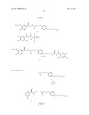 PHENYL SUBSTITUTED PYRAZINOYLGUANIDINE SODIUM CHANNEL BLOCKERS POSSESSING BETA AGONIST ACTIVITY diagram and image