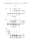 Compositions and Methods Which Modulate G-Protein Signaling for the Treatment of Inflammatory Disorders such as Asthma and Allergic Conjunctivitis diagram and image