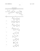 HEPATITIS C VIRUS INHIBITORS diagram and image