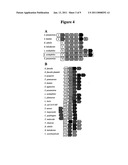 LACTOBACILLUS ACIDOPHILUS NUCLEIC ACIDS ENCODING FRUCTO-OLIGOSACCHARIDE UTILIZATION COMPOUNDS AND USES THEREOF diagram and image