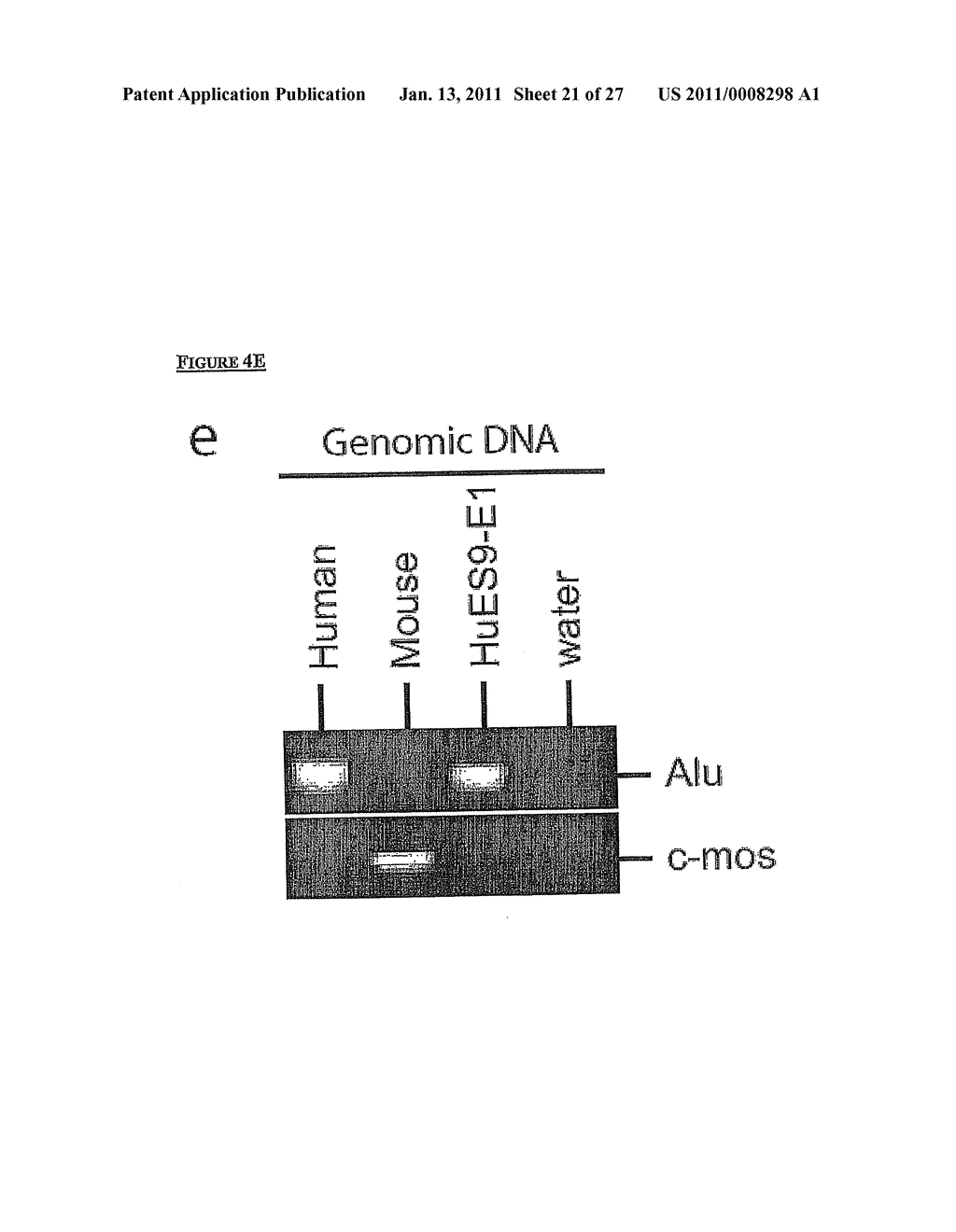 METHOD OF DERIVING PROGENITOR CELL LINE - diagram, schematic, and image 22