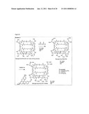 USE OF CELLS TO FACILITATE TARGETED DELIVERY OF NANOPARTICLE THERAPIES diagram and image