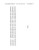 Cadherin-11 EC1 Domain Antagonists for Treating Inflammatory Joint Disorders diagram and image