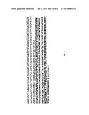 Cadherin-11 EC1 Domain Antagonists for Treating Inflammatory Joint Disorders diagram and image