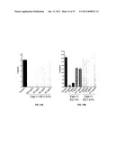 Cadherin-11 EC1 Domain Antagonists for Treating Inflammatory Joint Disorders diagram and image