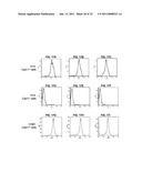 Cadherin-11 EC1 Domain Antagonists for Treating Inflammatory Joint Disorders diagram and image