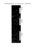 Cadherin-11 EC1 Domain Antagonists for Treating Inflammatory Joint Disorders diagram and image