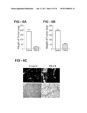 Antibody Selective for a Tumor Necrosis Factor-Related Apoptosis-Inducing Ligand Receptor and Uses Thereof diagram and image
