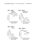 Antibody Selective for a Tumor Necrosis Factor-Related Apoptosis-Inducing Ligand Receptor and Uses Thereof diagram and image