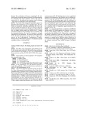 BINDING AGENTS DIRECTED AGAINST IL-4 RECEPTOR FOR THE TREATMENT OF TUMORS, INFLAMMATORY AND IMMUNOLOGICAL DISORDERS diagram and image