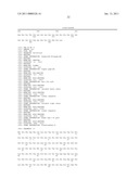 BINDING AGENTS DIRECTED AGAINST IL-4 RECEPTOR FOR THE TREATMENT OF TUMORS, INFLAMMATORY AND IMMUNOLOGICAL DISORDERS diagram and image