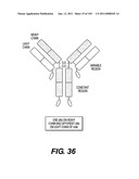 ANTIGEN-BINDING CONSTRUCTS diagram and image