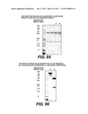 ANTIGEN-BINDING CONSTRUCTS diagram and image